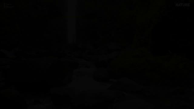 Relaxing Music For Stress Relief, Anxiety and Depressive States • Heal Mind, Body and Soul смотреть онлайн