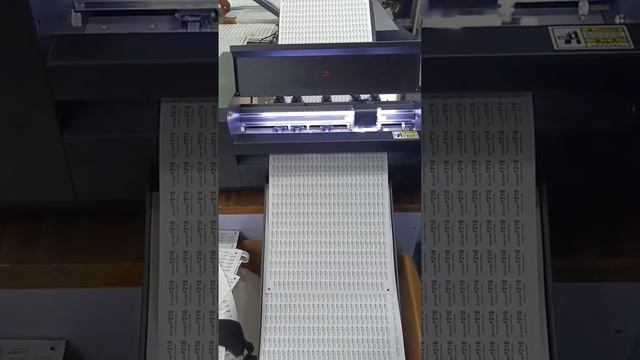 来春上市の自動給排紙装置付カティングプロッターVulcan社 SC-350。問合せ：㈱SHITARA 　高橋卓男　080-5977-8457　t.takahashi@shitara.co.jp смотреть онлайн
