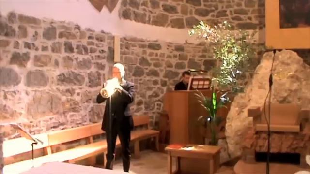 The Swan (Camille Saint-Saens) Paolo Trettel - Paolo Bernard смотреть онлайн