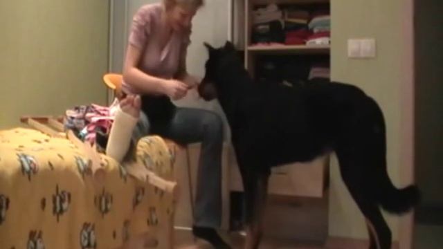 Обучение с помощью кликера. "Хозяйственная Брина". смотреть онлайн