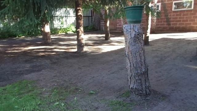 Ремонт ГАЗОНа своими руками Как заработать своими руками смотреть онлайн