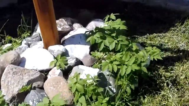 Безымянный Крест около Успенской Церкви в Вологде смотреть онлайн