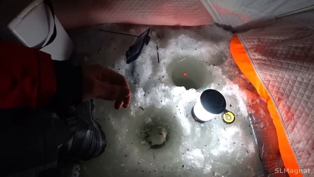 КРУПНЯК в ЗАРОСЛЯХ поднял ПОПЛАВОК! Карась в камыше...Сибирская рыбалка 2023 смотреть онлайн
