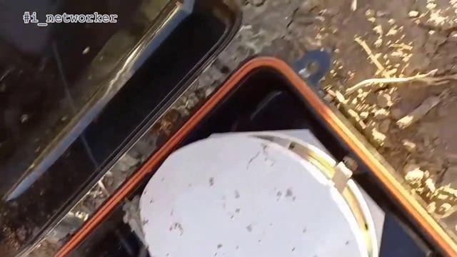 Летучие мыши смотреть онлайн