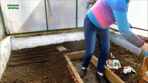 РАННЯЯ ПОСАДКА ЗЕЛЕНИ В ТЕПЛИЦЕ! ЛУЧОК, УКРОП, ШПИНАТ, РЕДИСКА! Советы от ЗЕЛЕНОГО ОГОРОДА!