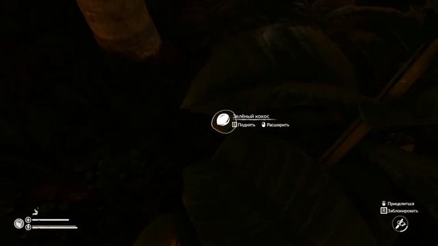 ОХОТИМСЯ, ГОТОВИМ ЕДУ, БРОДИМ ПО ЛЕСУ GREEN HELL #3 смотреть онлайн