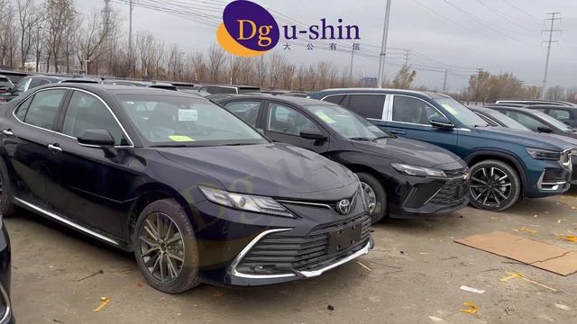 Voyah Dreamer, Geely Monjaro, Zeeker 001, etc смотреть онлайн