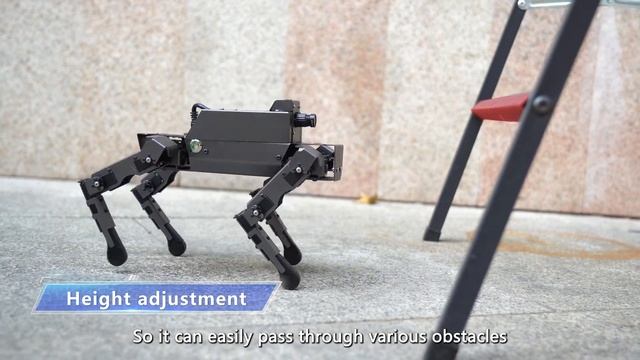 Meet your new pet [Bionic Robot Dog] | DOGZILLA S1 смотреть онлайн