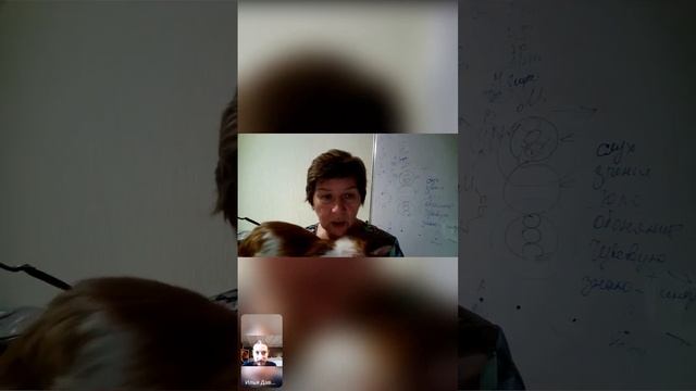 Экспертный совет по главе Лары Скрипиной.