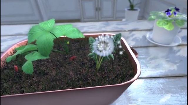 Тұқым қалай таралады?