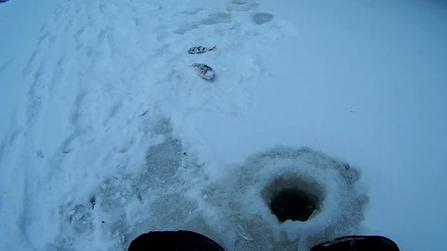 Первая рыбалка 2024! Рыбалка на жерлицы. Рыбалка на мормышку. Ловля окуня. смотреть онлайн