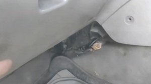 Доработка системы охлаждения WL T