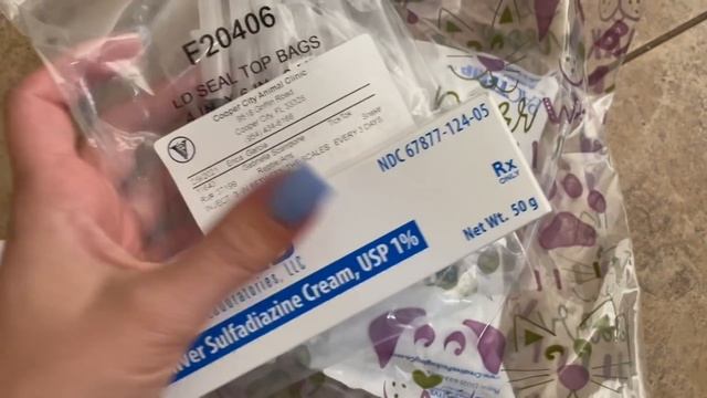 Rescued python with ticks goes to the Vet! UPDATE! Will she make it?! смотреть онлайн