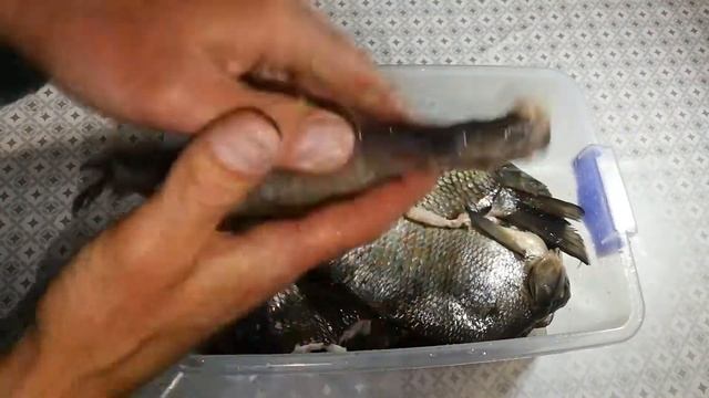 Домовладельцы и Сад