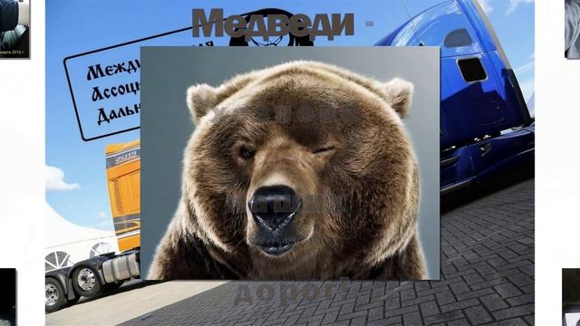 Дальнобойщикам! МАД_МЕДВЕДЬ ГИМН ГРУППЫ МЕДВЕДЕЙ в ВК .аЛиса Волкова смотреть онлайн