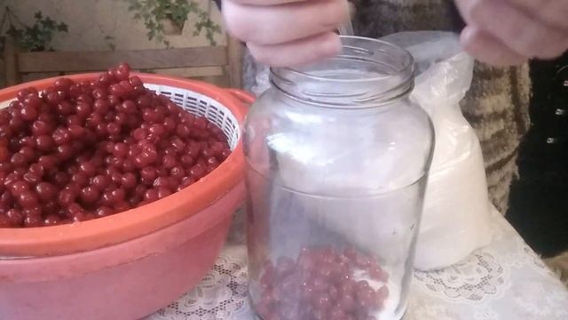 Калина - вкусная и полезная.