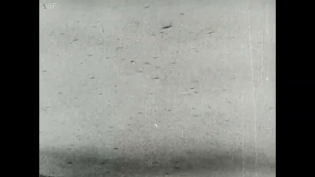 Africa Speaks! (1930) Full Movie | Walter Futter | Harald Austin, Paul L. Hoefler, Lowell Thomas смотреть онлайн