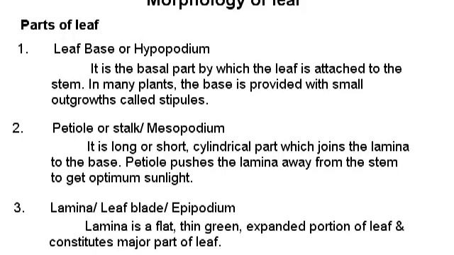 XI - Biology - Morphology Of Flowering Plants смотреть онлайн