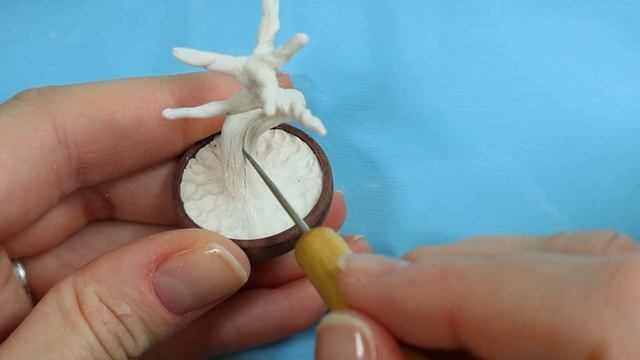 Miniature bonsai tree? смотреть онлайн
