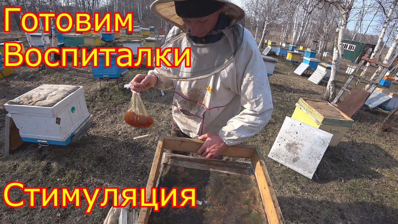 Готовим семьи Воспитательницы. Стимуляция семей смотреть онлайн