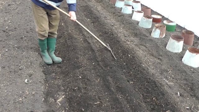 Деревенские зарисовки 2020. Часть 1..mp4