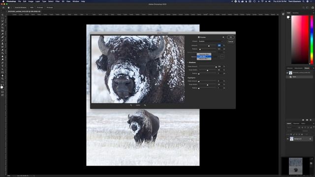 How I Sharpen Wildlife Photos Using Adobe Lightroom Classic and Photoshop 2020 смотреть онлайн