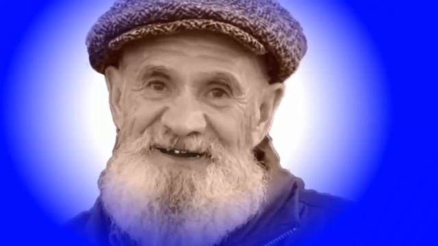 Все васильки, васильки...