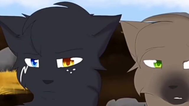 Коты Воители клип. На 55 подписчиков)