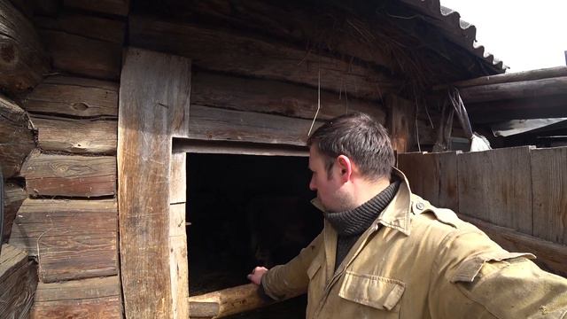 ВЫГОДНО ЛИ ЗАНИМАТЬСЯ ОТКОРМОМ БЫКОВ ИЛИ НЕТ???? ОТВЕТ НА ЧАСТО ЗАДАВАЕМЫЙ ВОПРОС , ОТКОРМ БЫКОВ смотреть онлайн