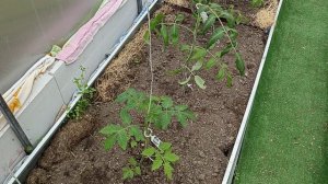 Какой ширины грядки (отвечаю на комментарий)