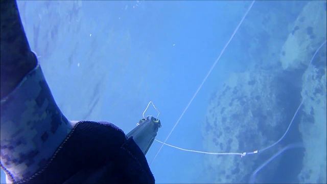 pescata dicembre! смотреть онлайн