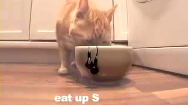 Как распутать наушники с помощью кота смотреть онлайн