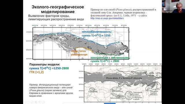 Особенности подбора ассортимента древесных растений для озеленения городов севера Западной Сибири смотреть онлайн