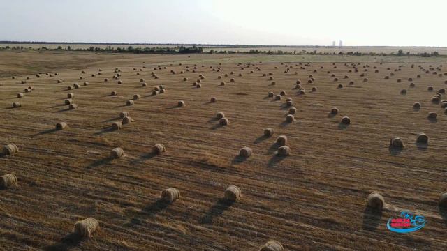 Собранное поле пшеницы вблизи Ростовской атомной электростанции (г. Волгодонск) смотреть онлайн