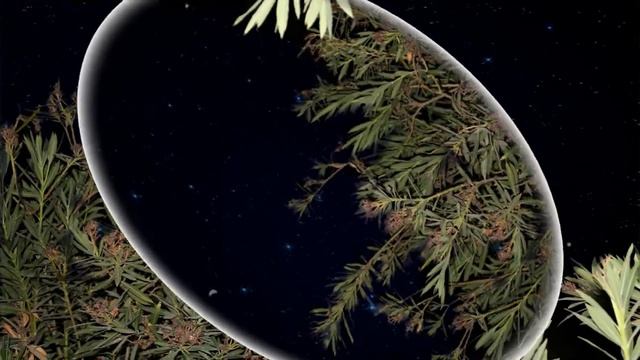 вечер смотреть онлайн