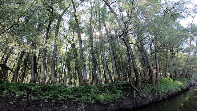 Рыбалка в Сузуне. День 1