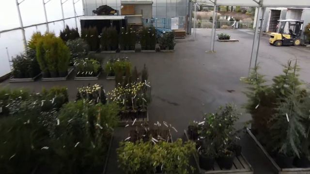Youngblood Nursery- Bringing Plants to You! смотреть онлайн