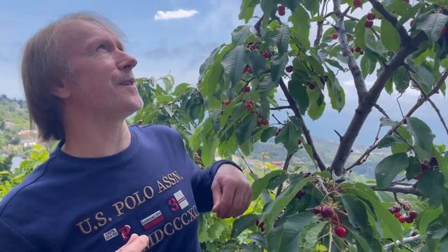 Настоящее богатство смотреть онлайн