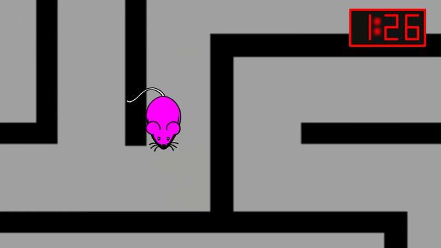 3 Minute Timer [MOUSE MAZE] 🐭 смотреть онлайн