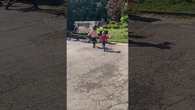 Собачки смотреть онлайн