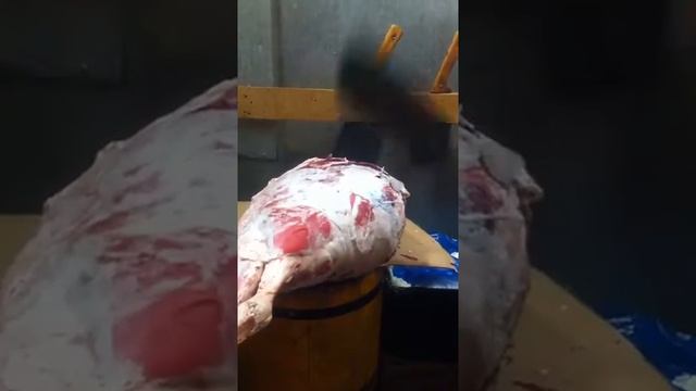 Разруб замороженной говядины 6