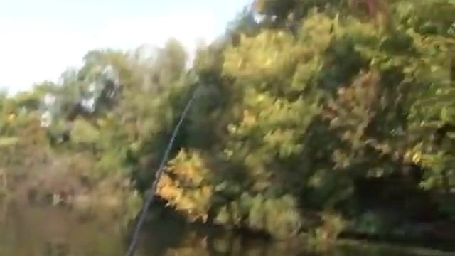 Ловля осенью "белой рыбы" болонской удочкой . Программа 191 смотреть онлайн