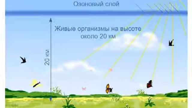 границы биосферы смотреть онлайн