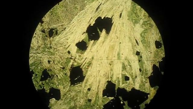 Tremolite and Actinolite in polarizing microscope смотреть онлайн
