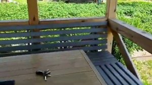 Беседка из бруса через 4 года