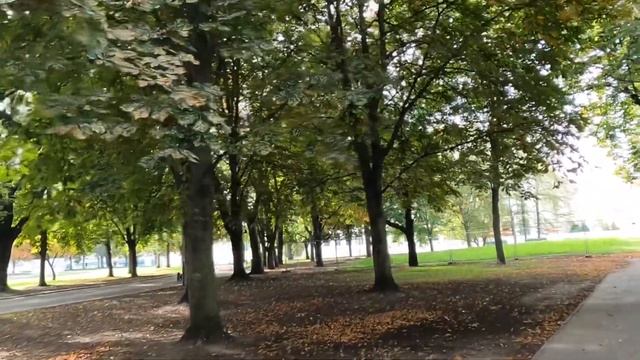 Walk in Berlin Alexanderplatz. Walking in Berlin. The best places in Berlin. Germany Walking. смотреть онлайн