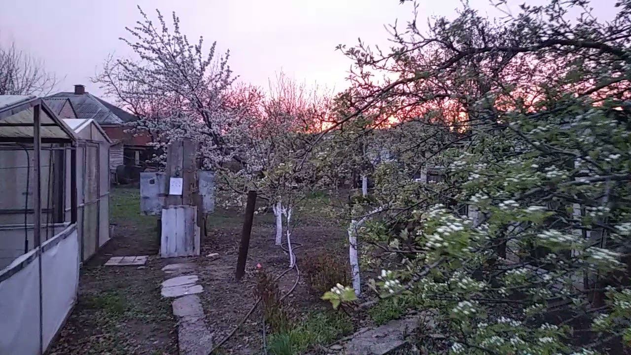 Весна и минус 2 ожидается. смотреть онлайн