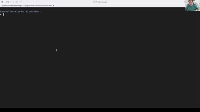 Laravel 9 - Cómo obtener información útil del proyecto de forma rápida смотреть онлайн