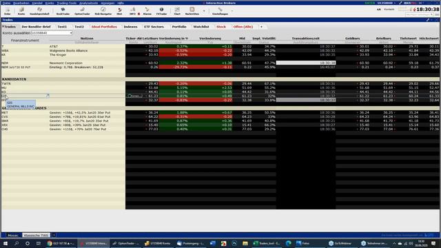 Online Seminar #3: Lernen Sie Eric Ludwig und sein Rendite-Brief live kennen. 30.06.2020 смотреть онлайн