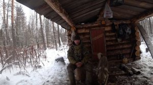 Промысел 2017  #11 Третье зимовье. Путик, охота, делюсь инфой..